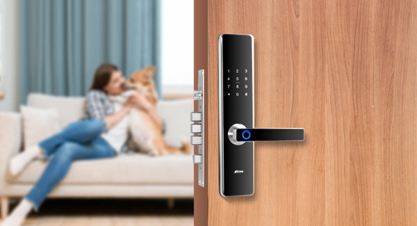 Smart Main Door Locks: Tips to Buy the Right One