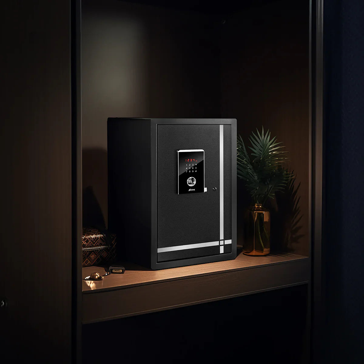 Biometric Safes