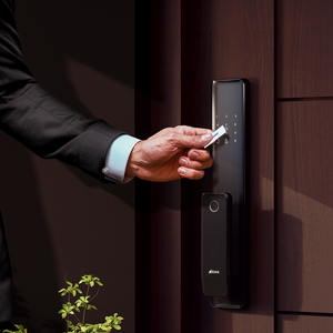 Main Door Locks