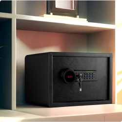Home & Office Safes