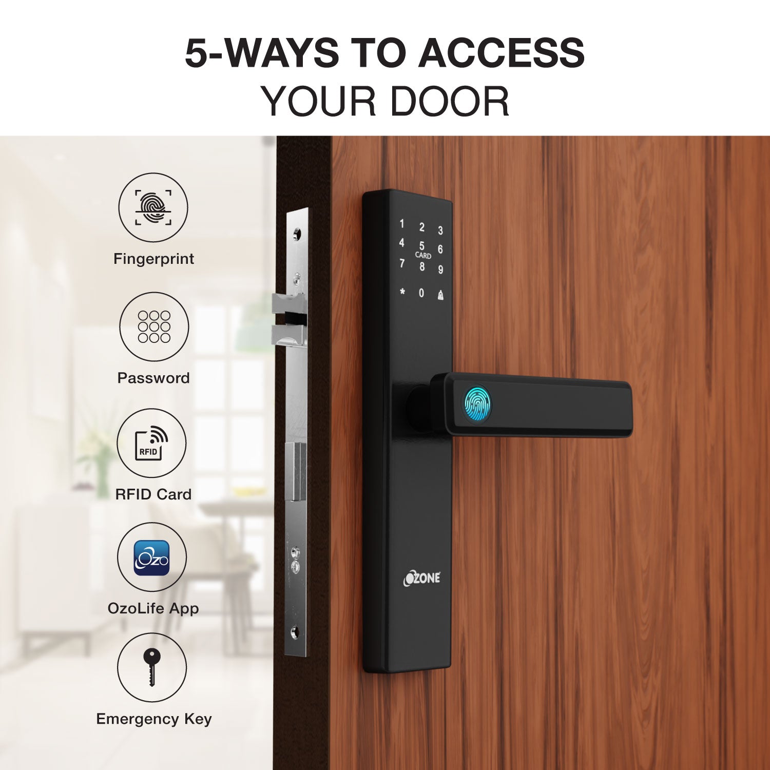 Morphy Life Lite-2 Wi-Fi Smart Door Lock with 4-way access | Door Thickness: 30-65 mm - Ozone Group
