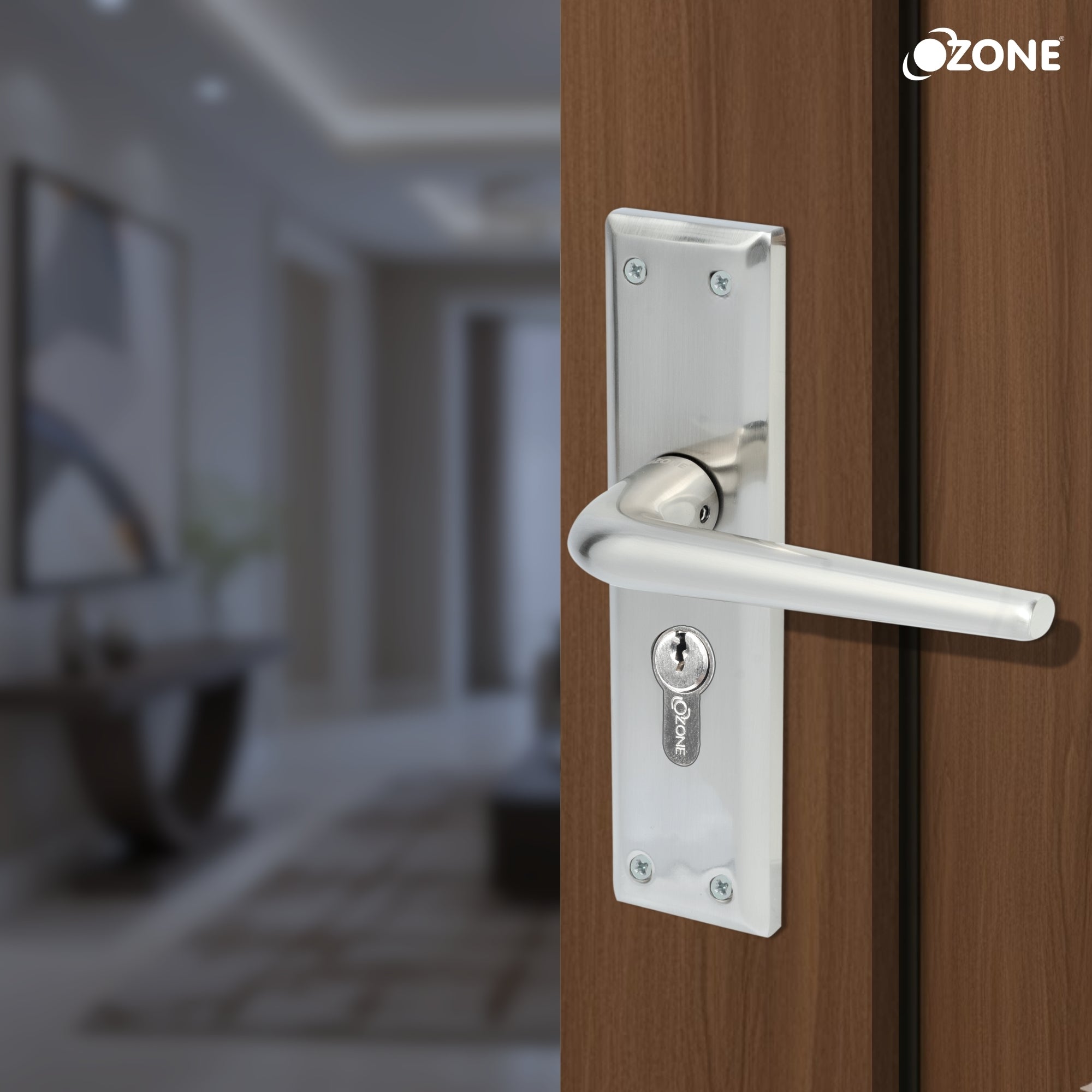 Ozone Zinc Handle On Rose Combi-set| Sleek, Sturdy & Designed for Long-Term Use