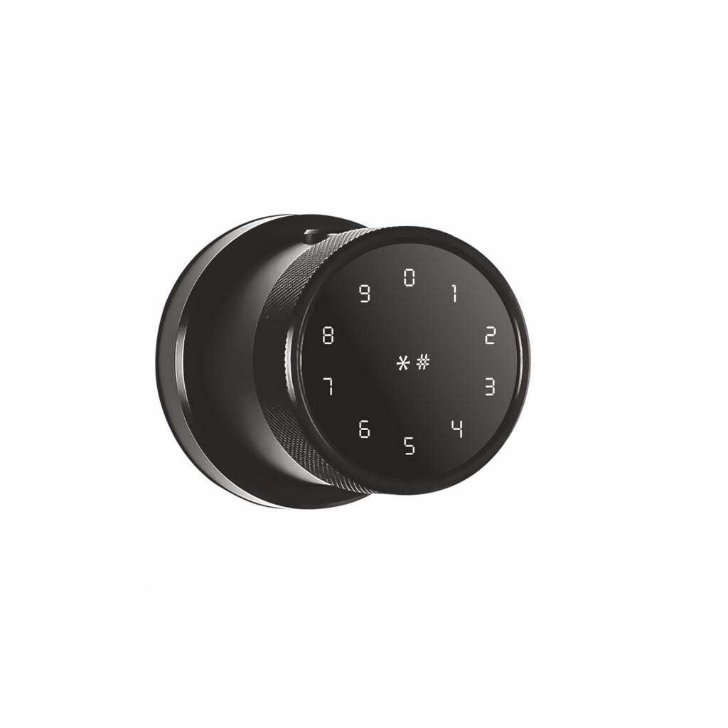Ozone Oracle Bluetooth Smart Door Lock with 4-way access | Door Thickness: 35-65 mm (Black)
