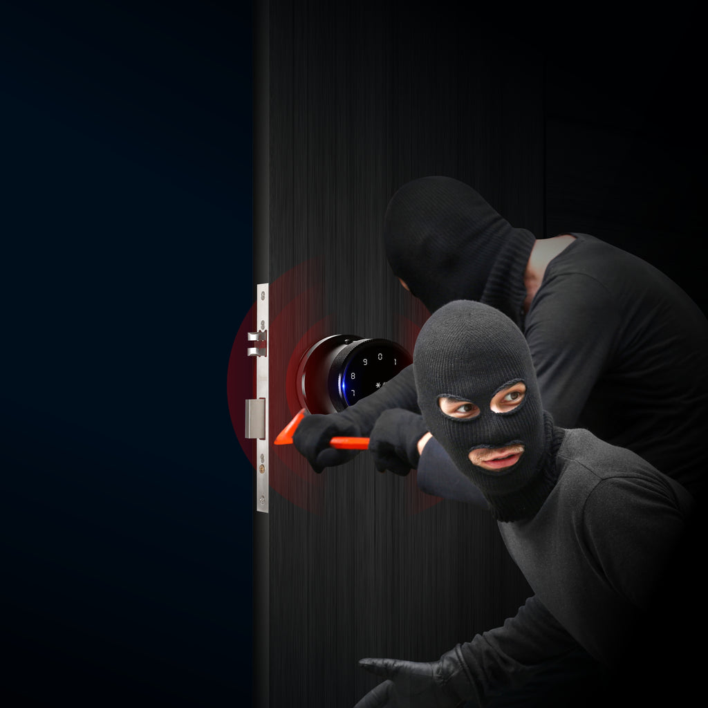 Ozone Oracle Bluetooth Smart Door Lock with 4-way access | Door Thickness: 35-65 mm (Black)